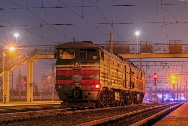 2ТЭ10МК-3139, ст.Жлобин, Гомель.обл.