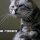 stackattack2