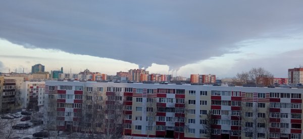 IMG 20231201 115114