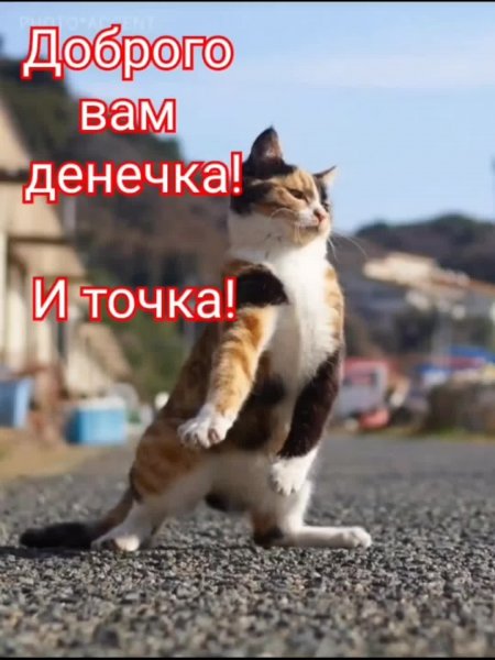 И точка!