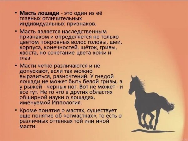 Это интересно