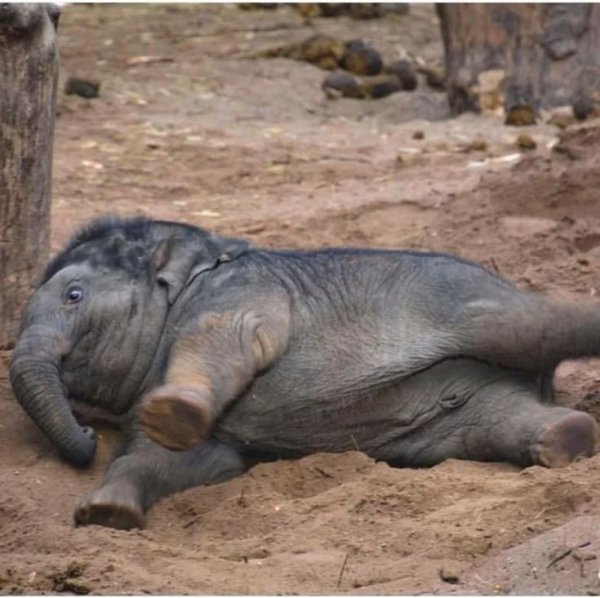 81a88ed26b02bcc71d9b198360d1270b