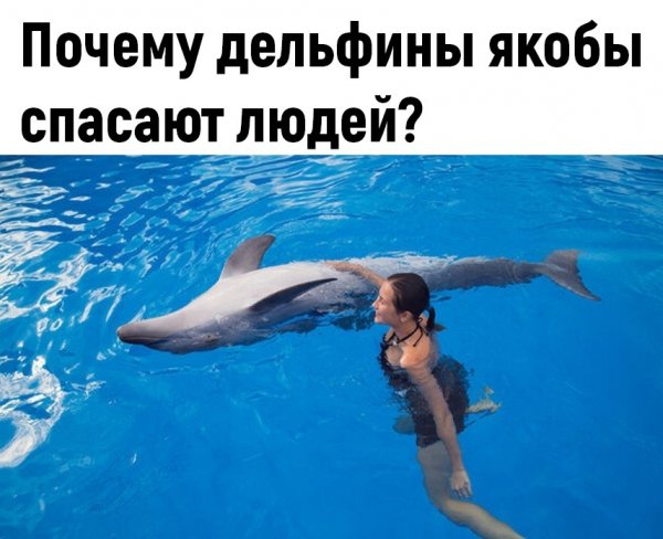 ijfDamfhDm8