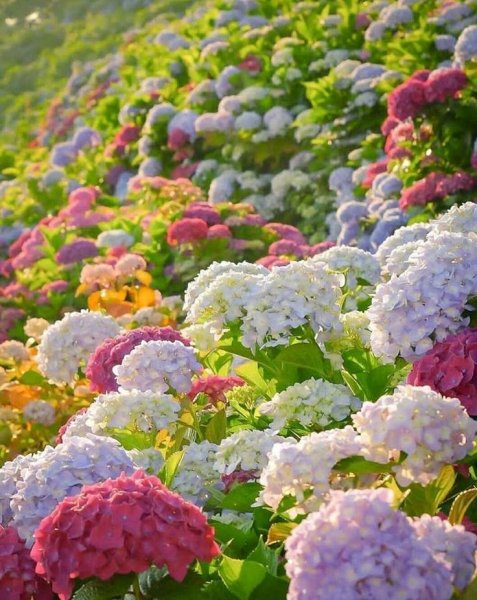 dba009e0169584b8842eb7016a77