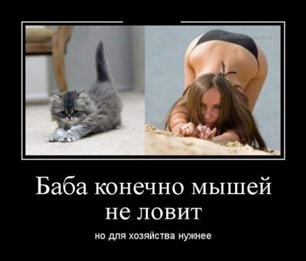 2yxa ru Prikoly pro bab H46Ji-w9Ny-