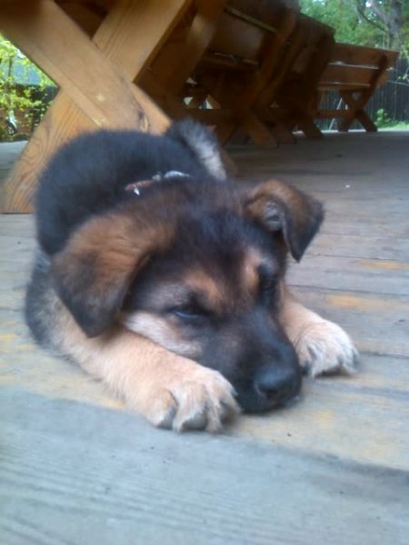 VID 20150504 135147 9475