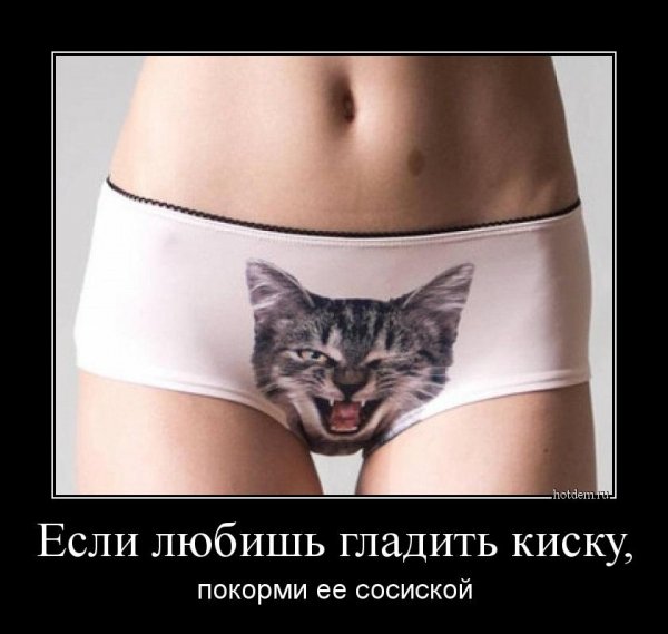 Любишь гладить киску