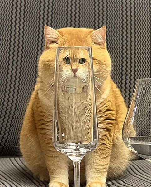 5b595d9f5e0e6af5246a95428b0d574d