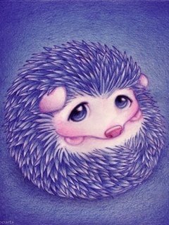 Ежика