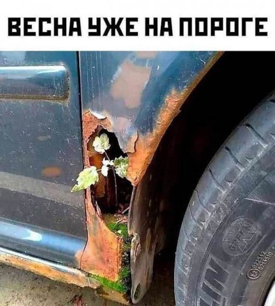 D3fcea2e67 memy-podborka-svezhih-i-smeshnyh-memov-8