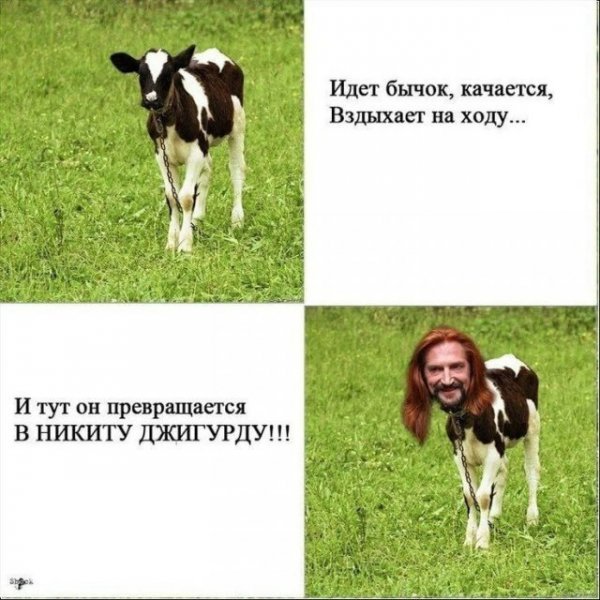p.600.600.0