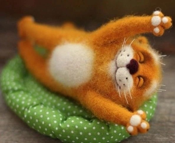 8d1ca57d500244a5d25a0e7b419e0a07