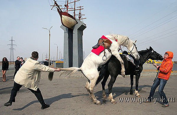 Что - то пошло не так... ))