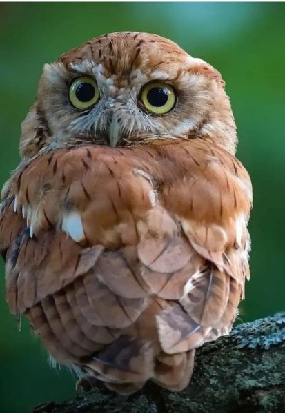 Screenshot 2021 1127 005721