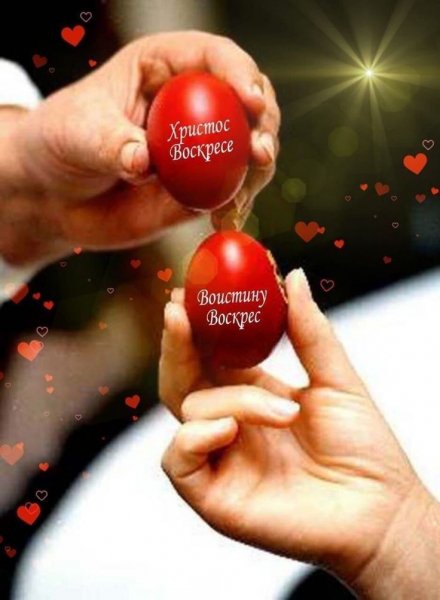 fc87538c6434fba339cd77dc18e68