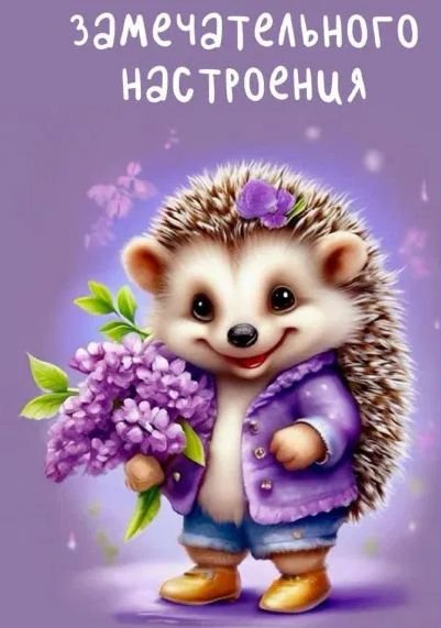 C1397ff98e67bb9b025879c7509996fd