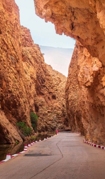 Screenshot 20260203-130647 One UI Home