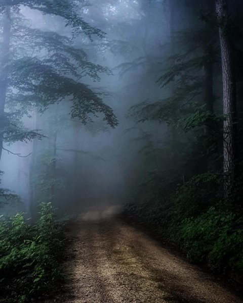 20-35-07-178683859 307923404303145 2651251191067111963 n