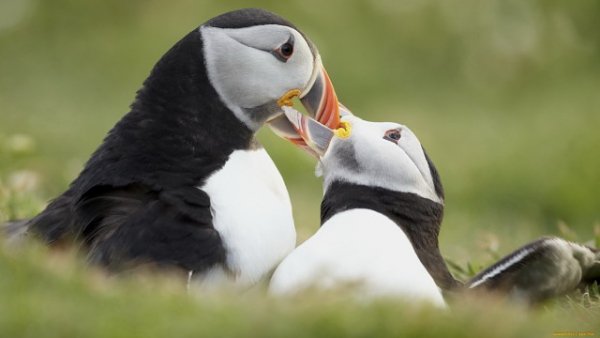 I - 2025-08-23T020924.352