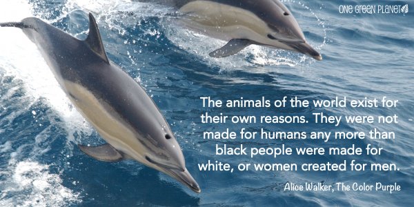 "Racing Extinction"