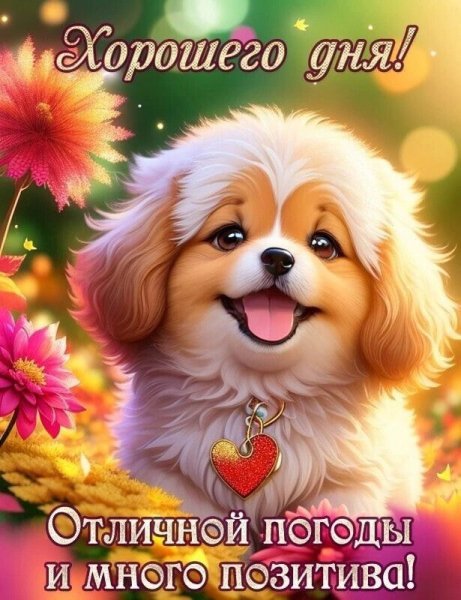 6fe35c9ed77390ab72550634cca42288