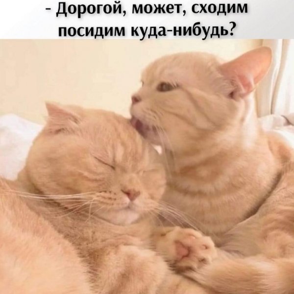 А???