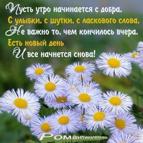 IMG-20210720-WA0002
