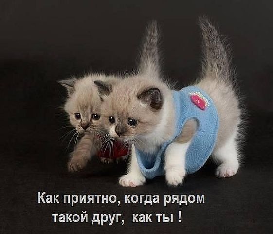 pic