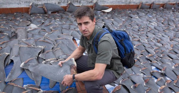 "Racing Extinction"