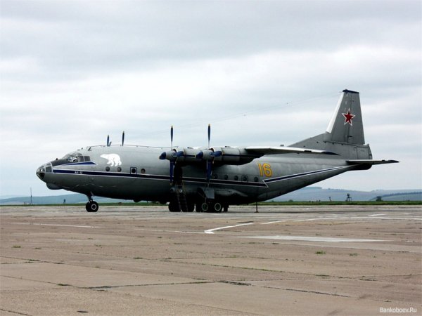 АН 12