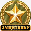 Защитнику