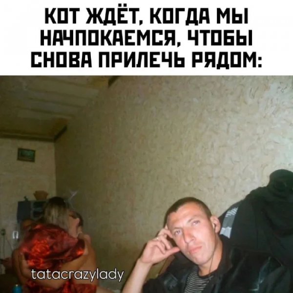 Надоели своей возней)