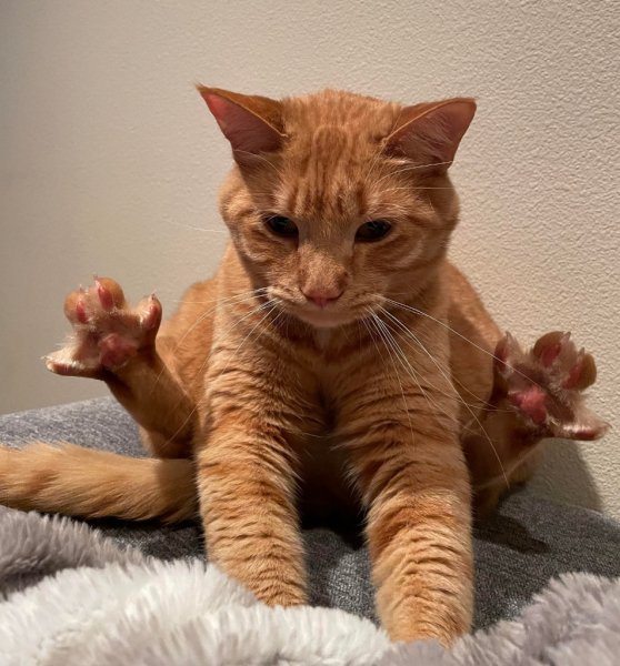 Опа! А ты так можешь))?