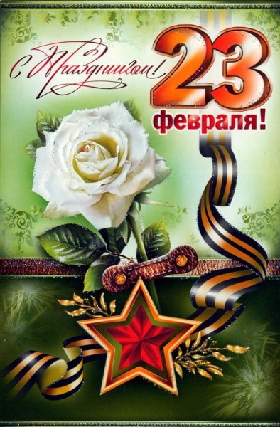 muzhchina s prazdnikom 23 fevralja