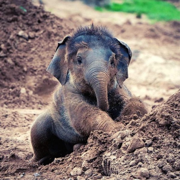 f956bdeb48521608bee880490867c