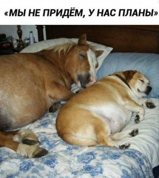 IMG 20260805 161659 567