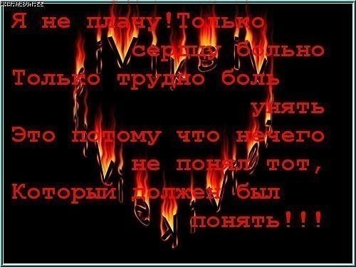 image (1)