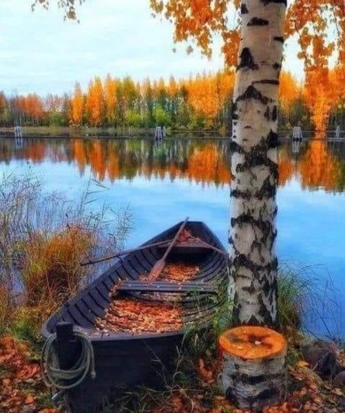 красивая осень