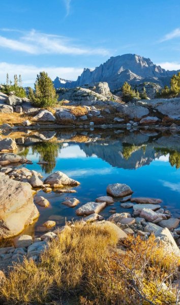 Screenshot 20251201-022029 One UI Home