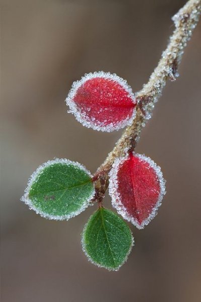 F9998f9f15757675f79705cf78479e7f