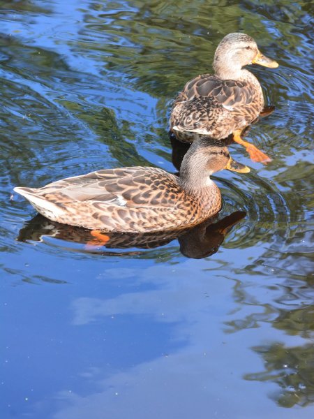 IMG 20250814 114743