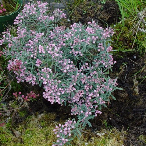 I - 2026-04-24T200036.858