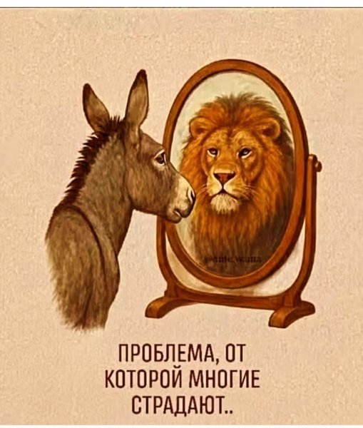 picture_411796609