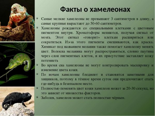 )))))