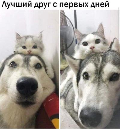 53a3ab7b2f5fccbdc8665f82d9a32438f