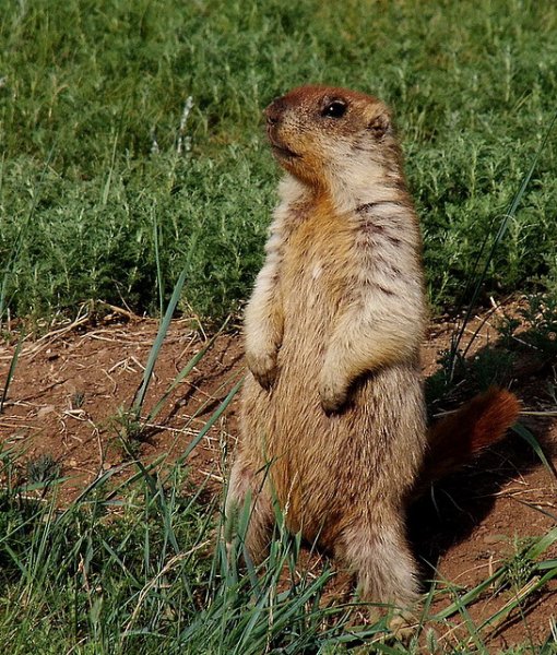 fb67eab0f5aab0fc81540abecc3