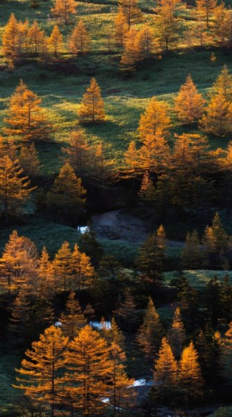 Screenshot 20251117-105227 One UI Home