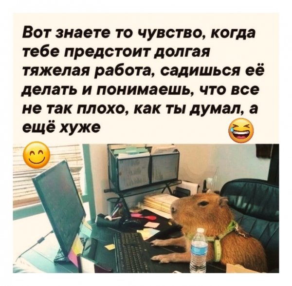 Z8yMv8ayFeks1eDv-D1luTQPfJ HQFz6eXwEjflm3gSt2D5