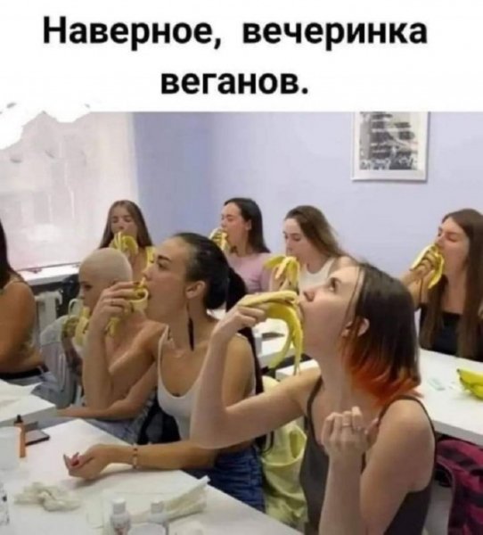 e3d7dbd 20454569