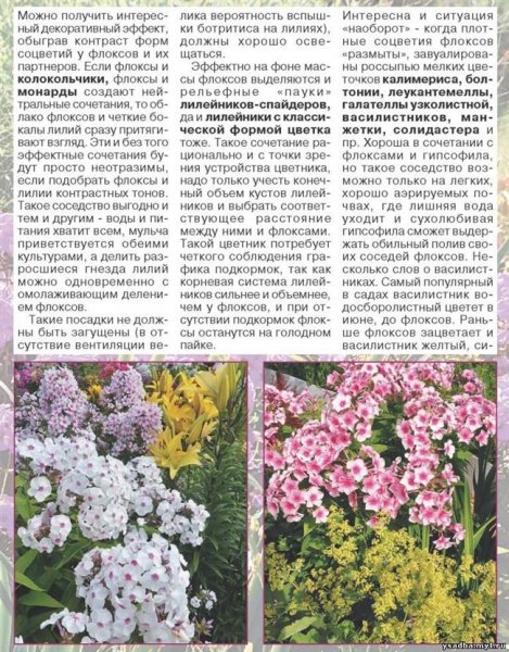 Цветочный сад